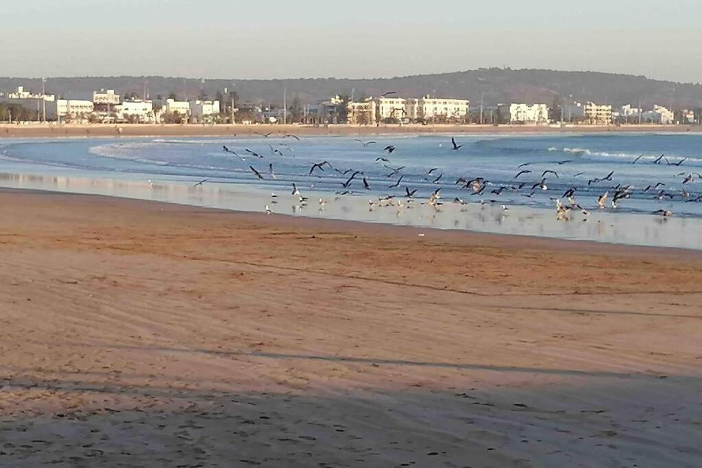 Вилла Darsal-Bwindi, Pour Tomber Amoureux D'Essaouira ! Экстерьер фото